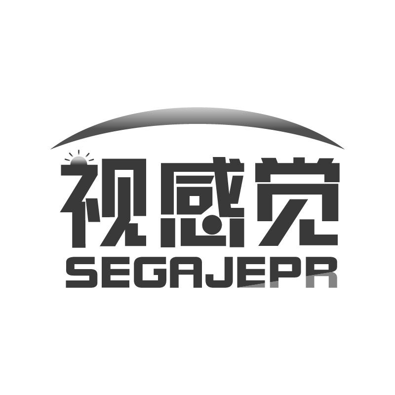 视感觉SEGAJEPR