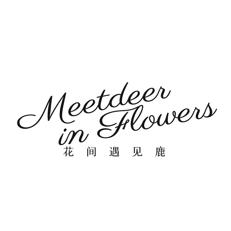 花间遇见鹿 MEETDEER IN FLOWERS