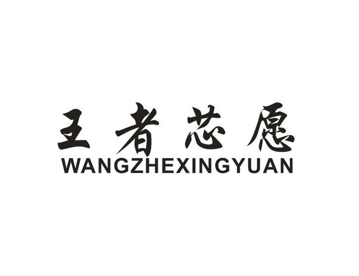 王者芯愿 WANGZHEXINGYUAN