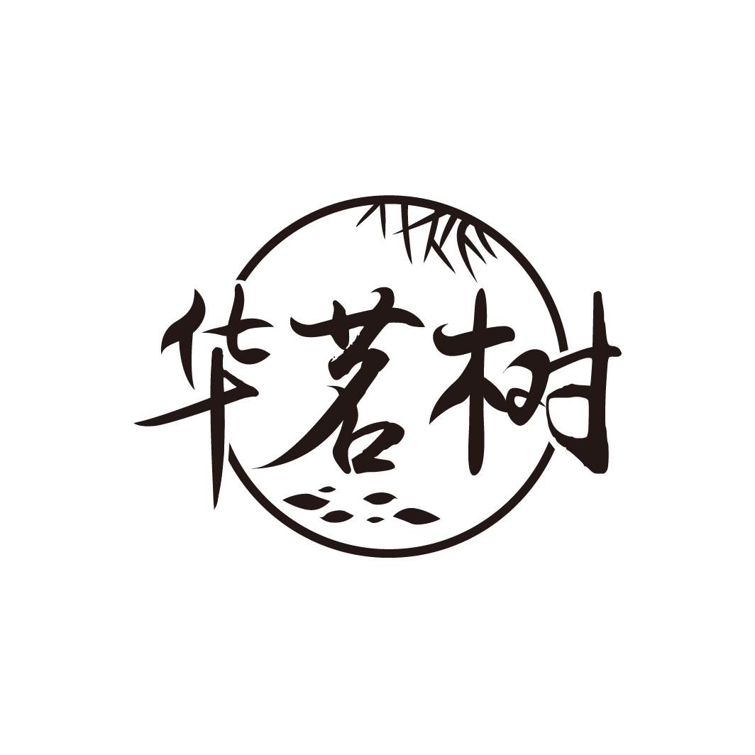 华茗树
