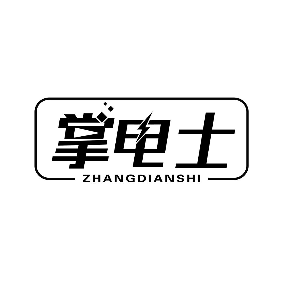 掌电士