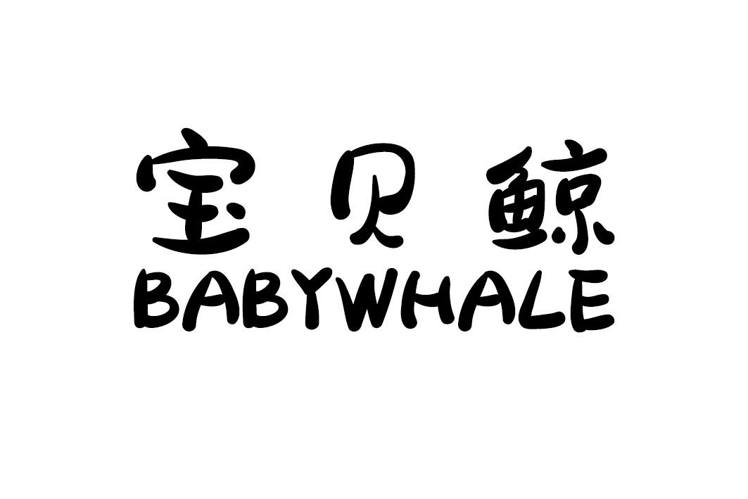宝贝鲸 BABYWHALE
