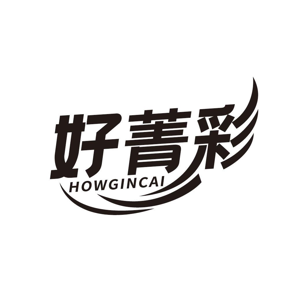 好菁彩 HOWGINCAI