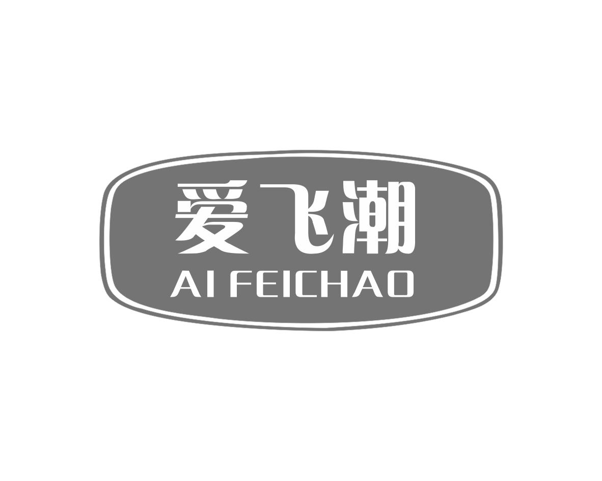 爱飞潮