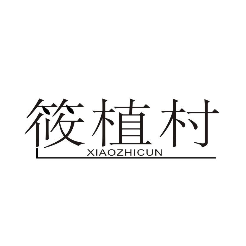 筱植村