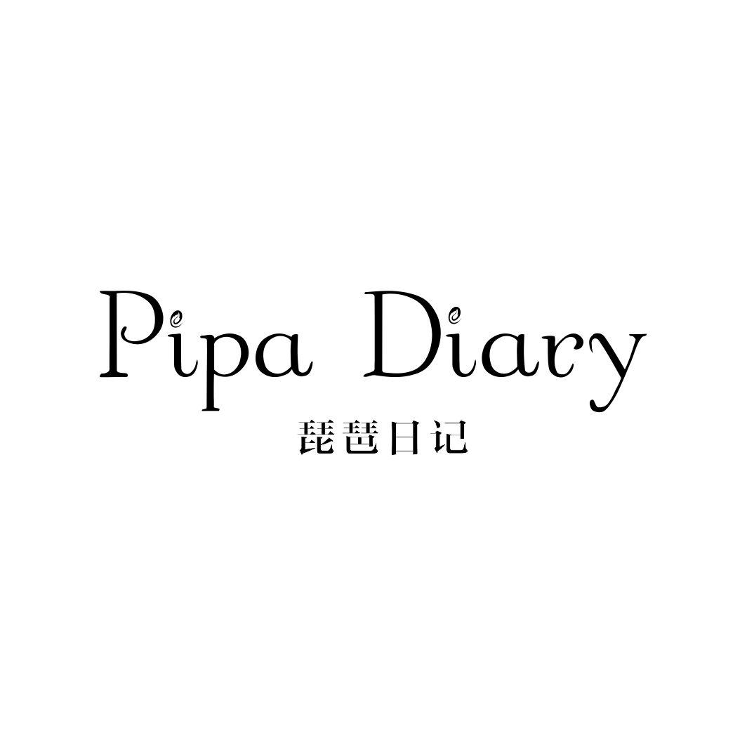 琵琶日记 PIPA DIARY