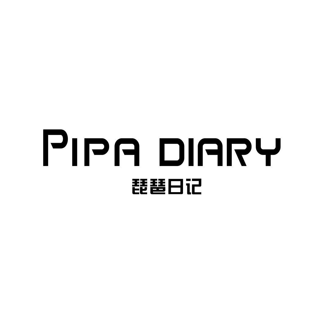 琵琶日记 PIPA DIARY