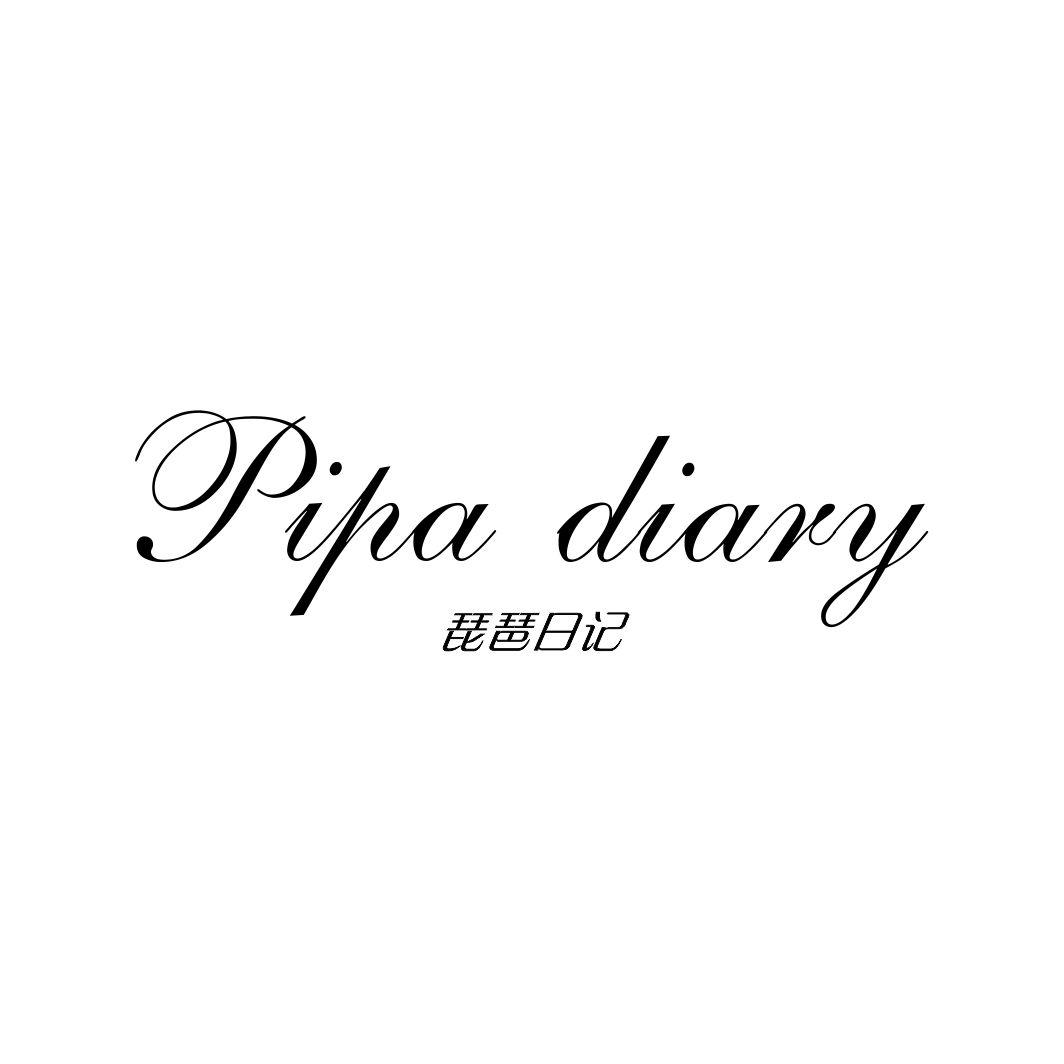 琵琶日记 PIPA DIARY