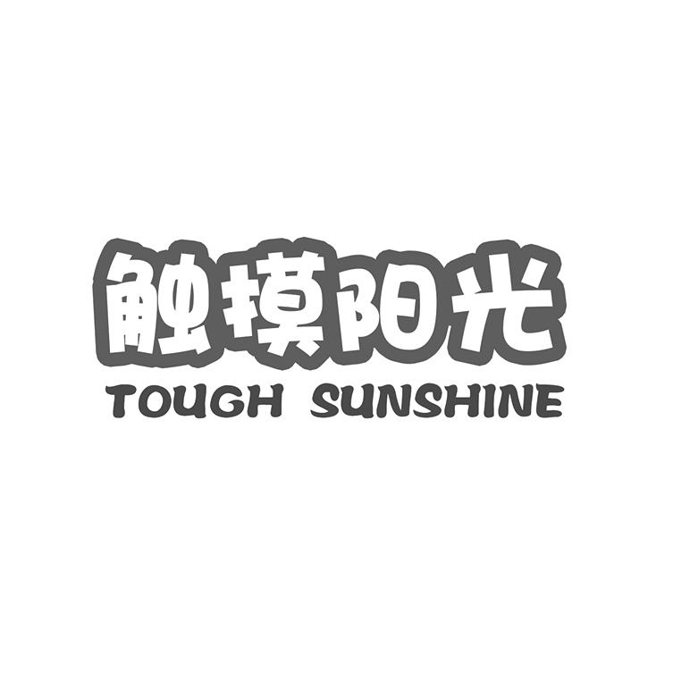 触摸阳光 TOUCH SUNSHINE