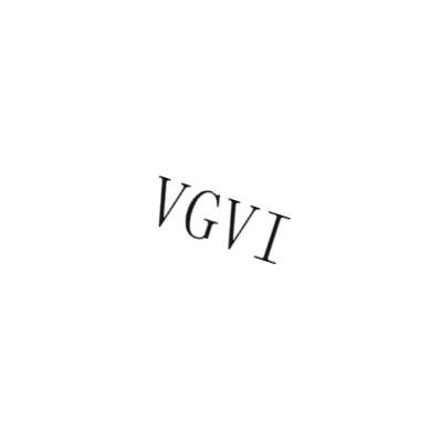  VGVI