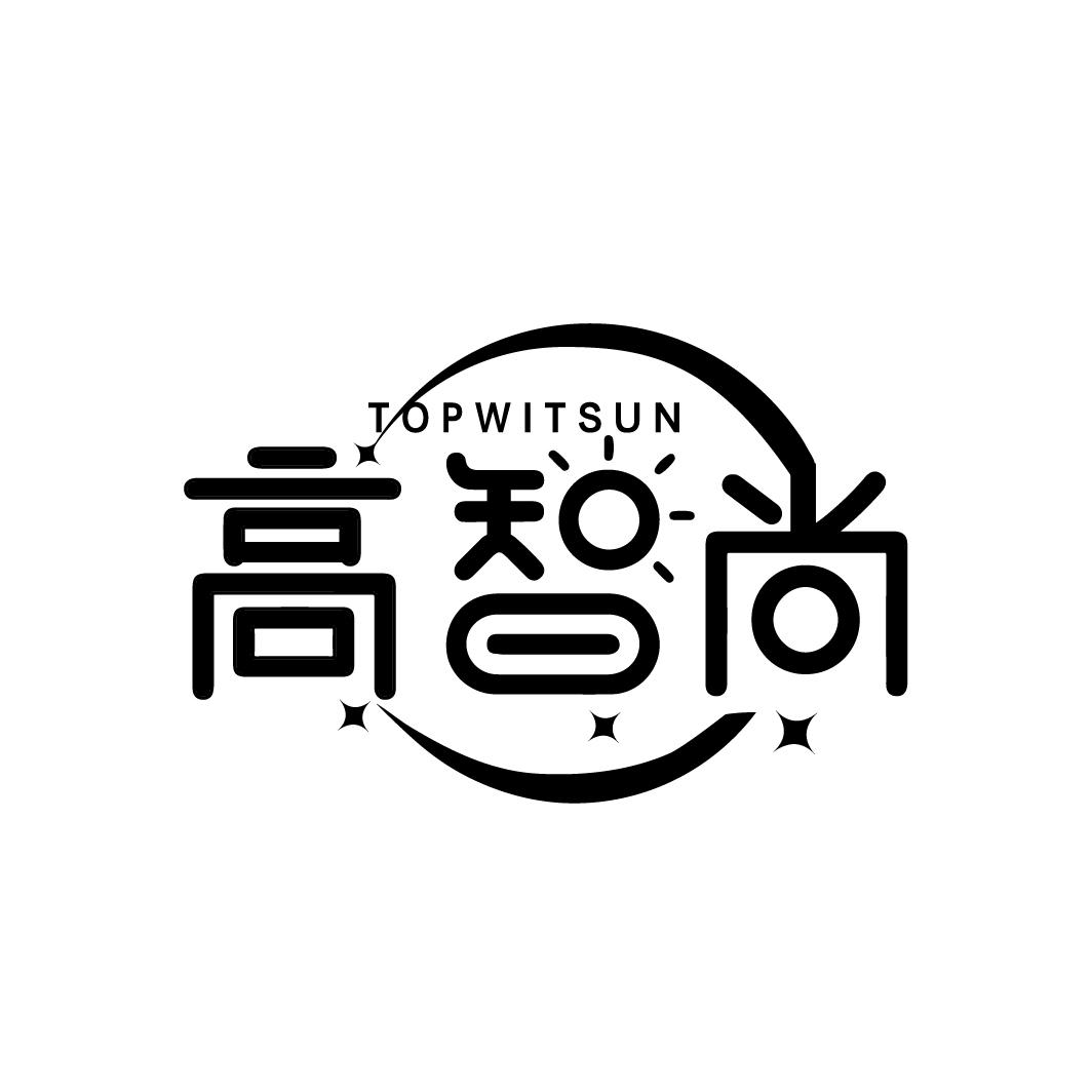 高智尚 TOPWITSUN