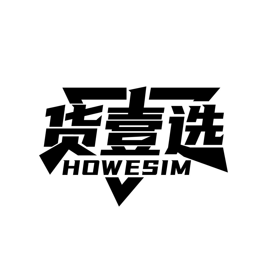 货壹选
HOWESIM