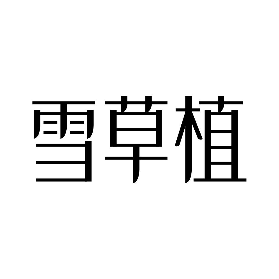 雪草植