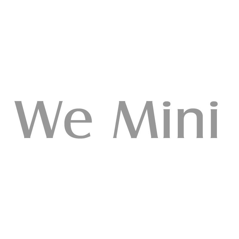 WE MINI