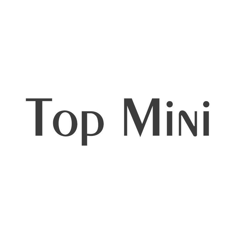 TOP MINI