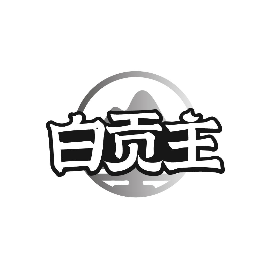 白贡主