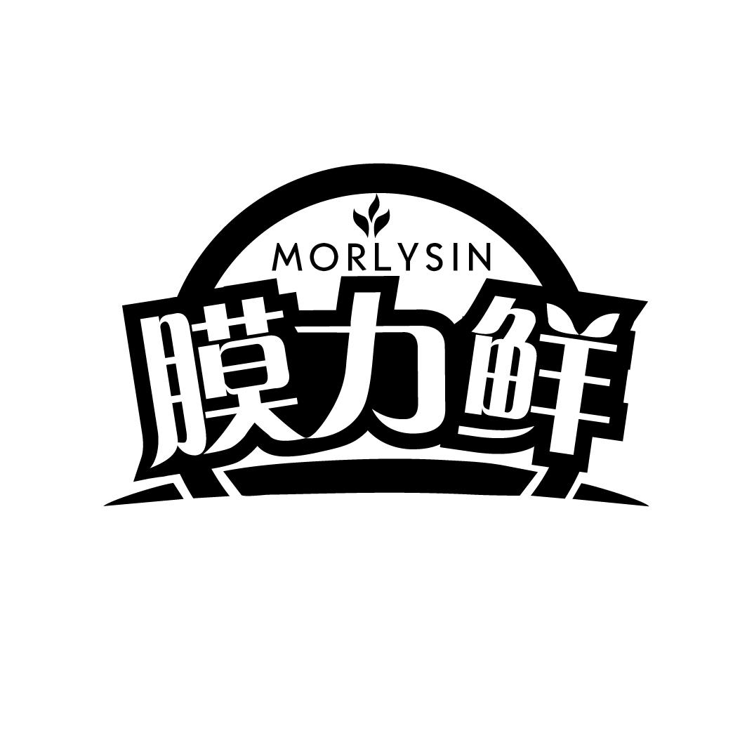 膜力鲜
MORLYSIN