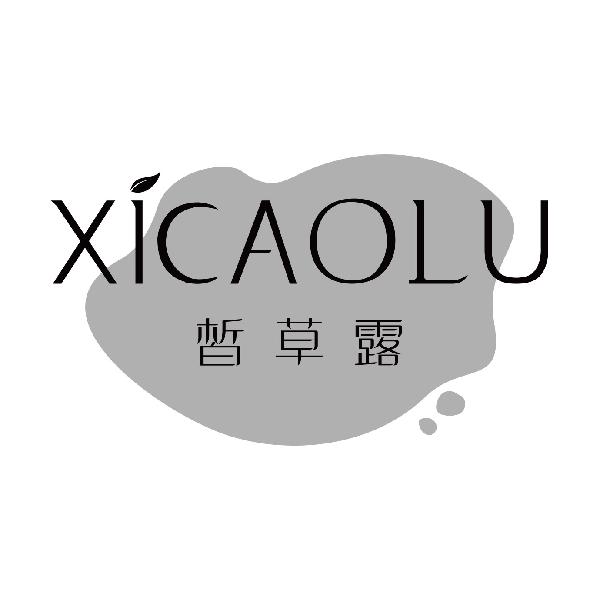 皙草露
xicaolu