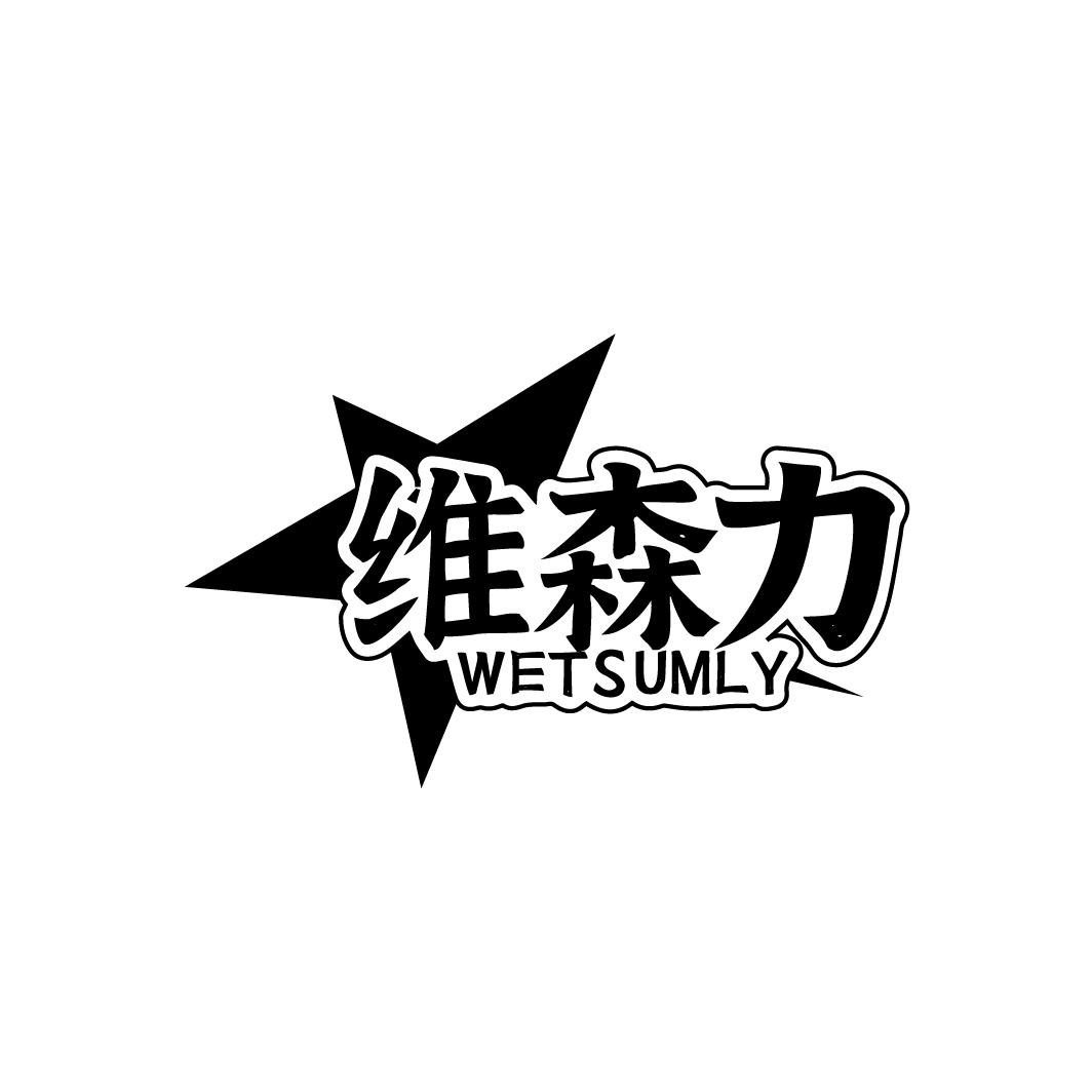 维森力
WETSUMLY