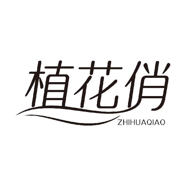 植花俏ZHIHUAQIAO