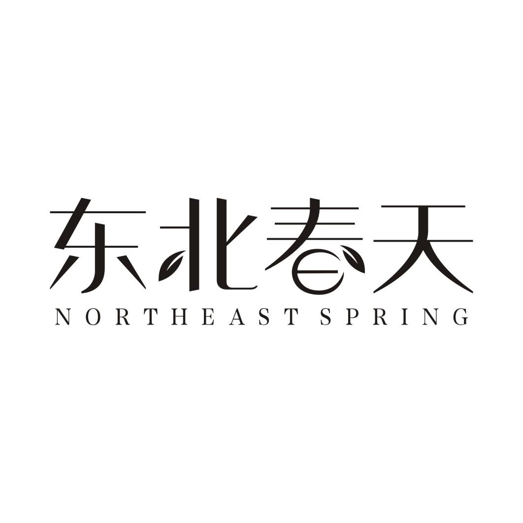 东北春天NORTHEAST SPRING