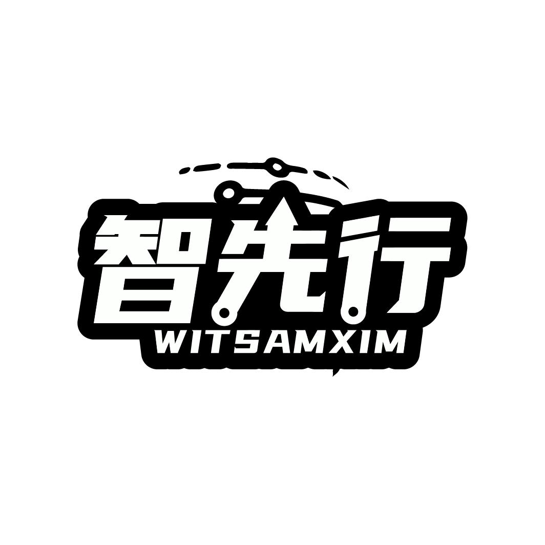 智先行
WITSAMXIM