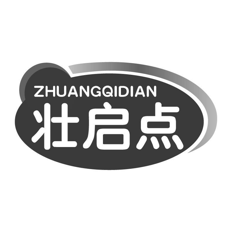 壮启点ZHUANGQIDIAN