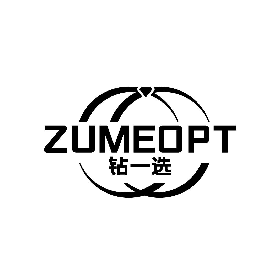 钻一选
ZUMEOPT