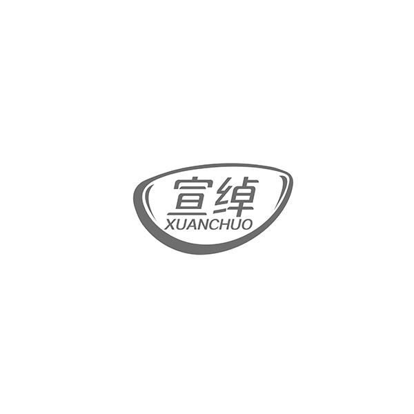宣绰XUANCHUO