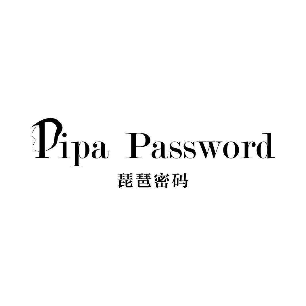 琵琶密码PIPA PASSWORD