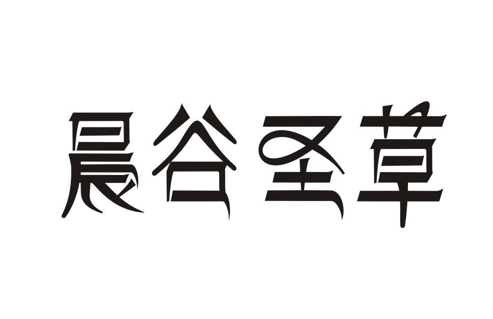 晨谷圣草