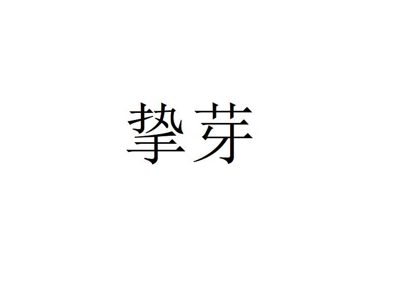 挚芽