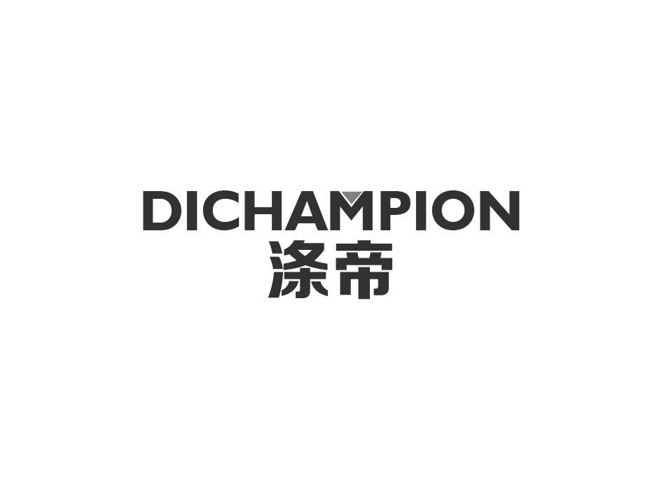 涤帝 DICHAMPION