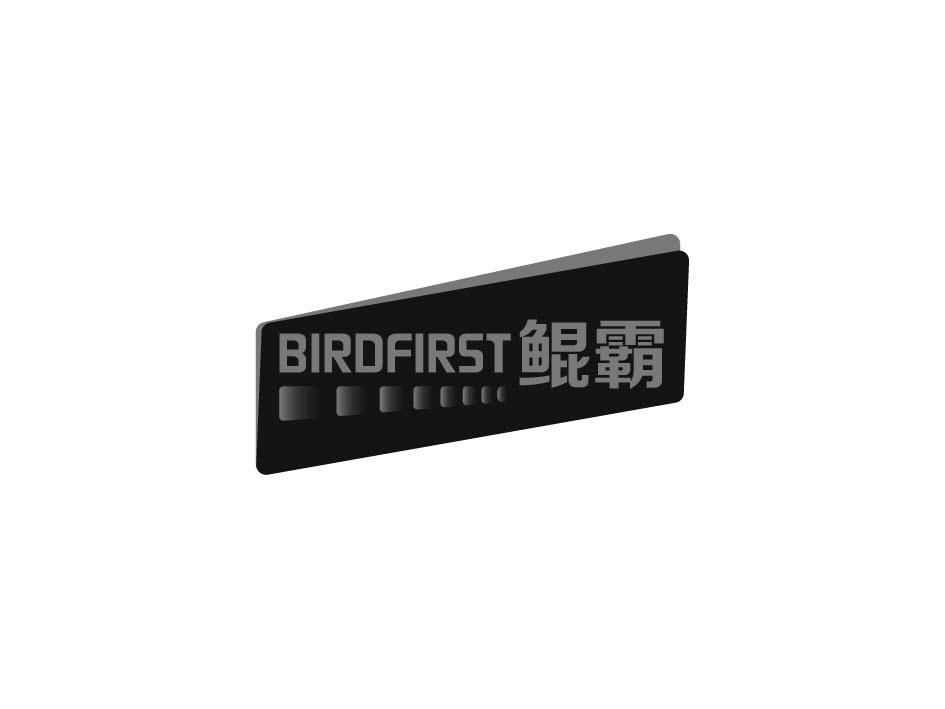BIRDFIRST 鲲霸