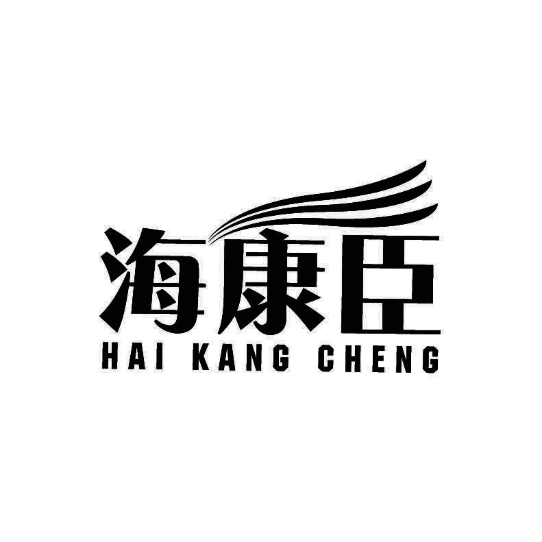 海康臣+拼音
