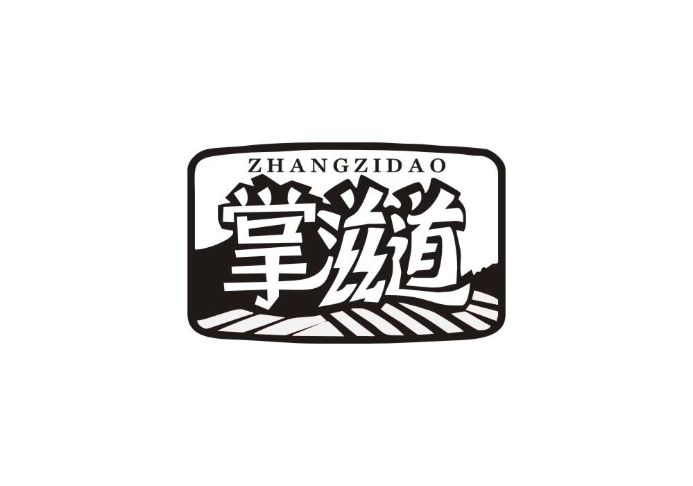 掌滋道