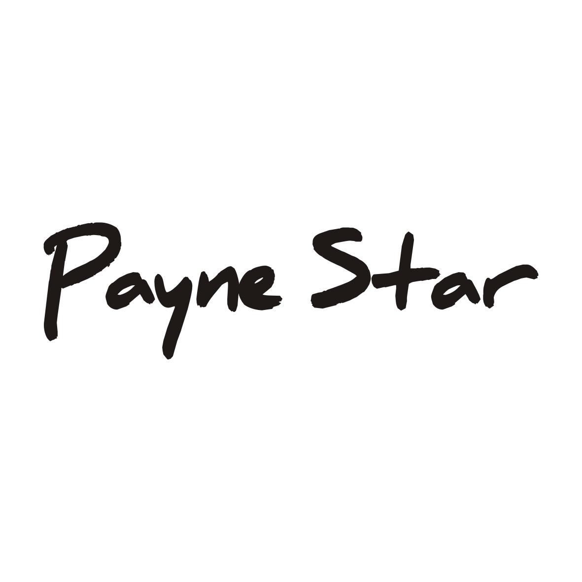PAYNE STAR（佩恩之星）