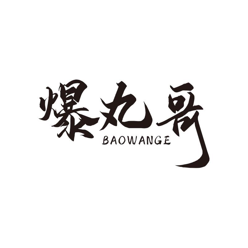 爆丸哥