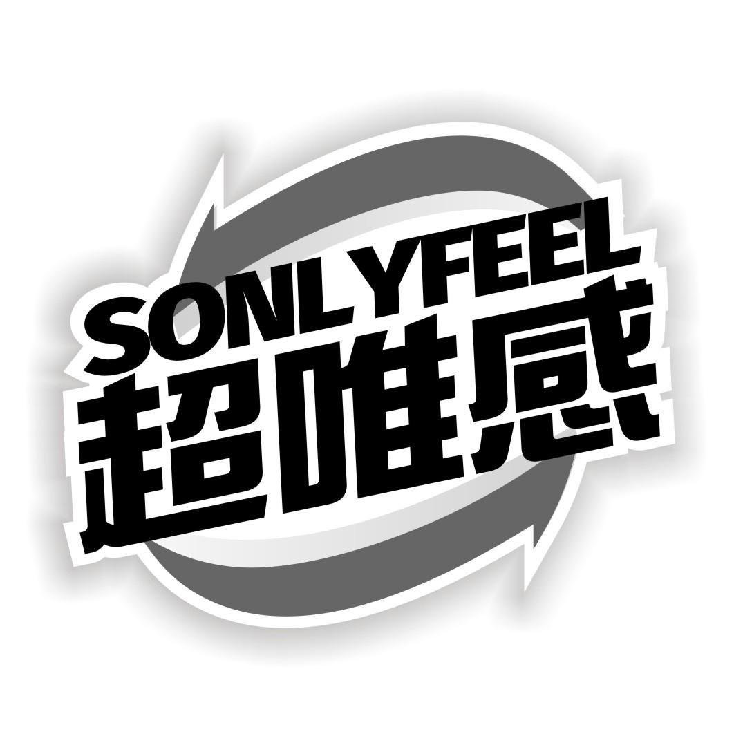 超唯感 SONLYFEEL