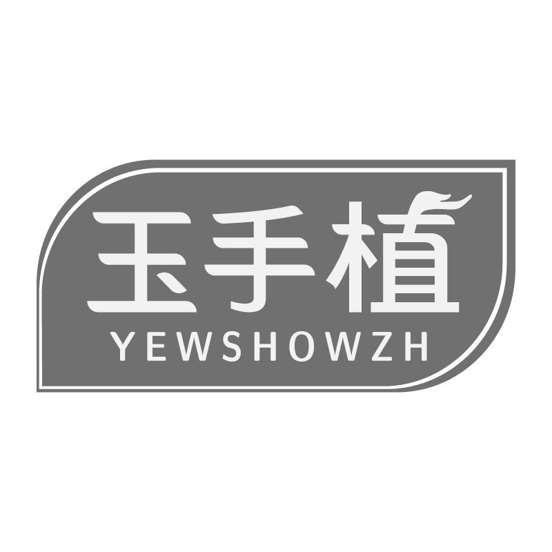 玉手植YEWSHOWZH