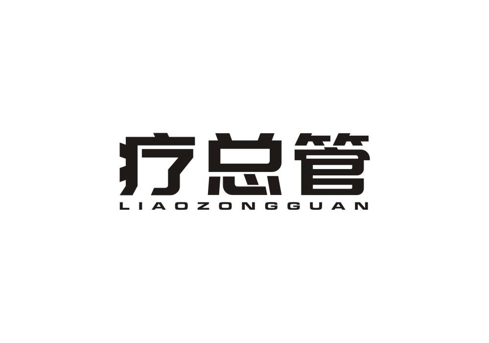 疗总管