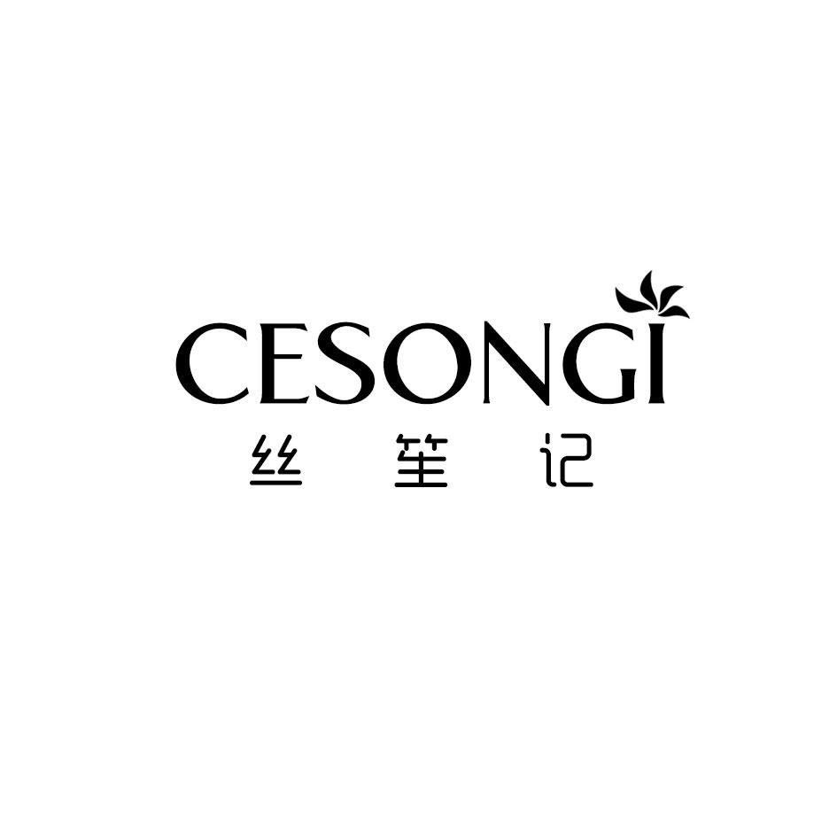 丝笙记