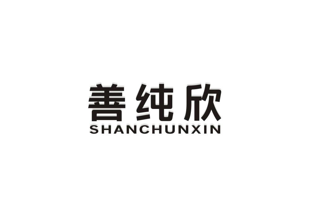 善纯欣