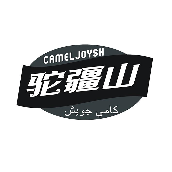 驼疆山 CAMEL JOYSH