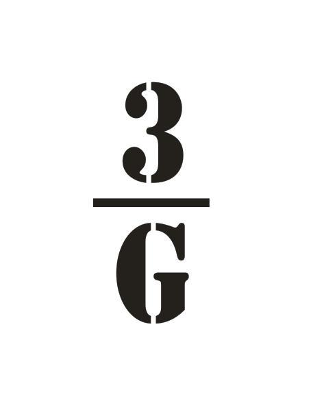 3G