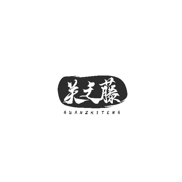 关之藤GUANZHITENG