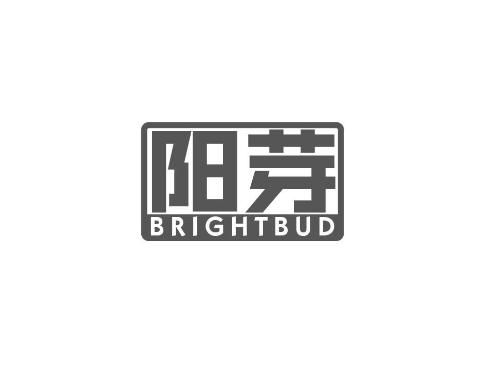 阳芽 BRIGHTBUD