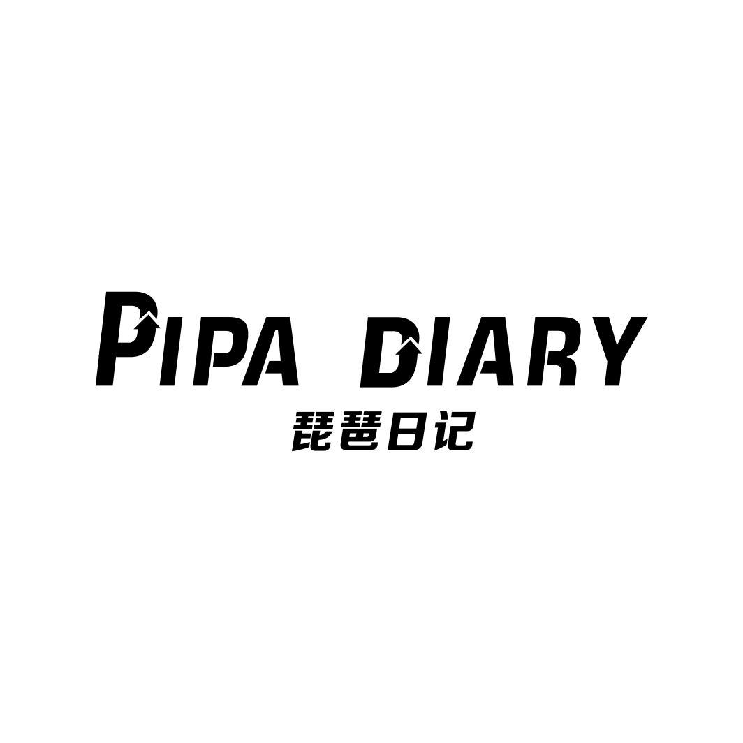 琵琶日记 PIPA DIARY