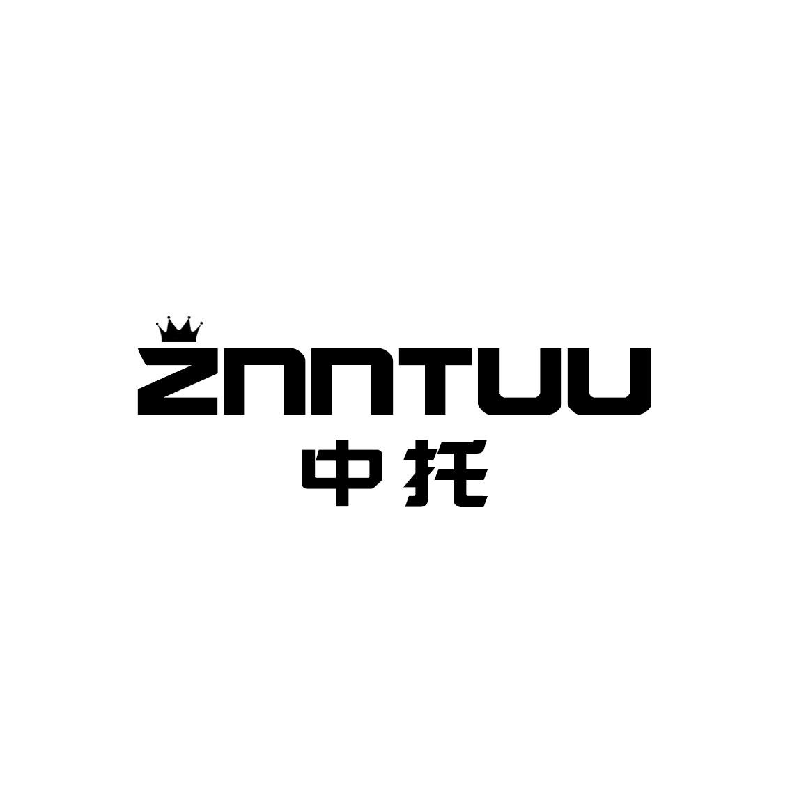 中托