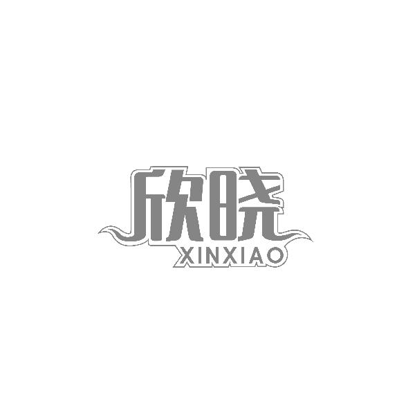 欣晓XINXIAO